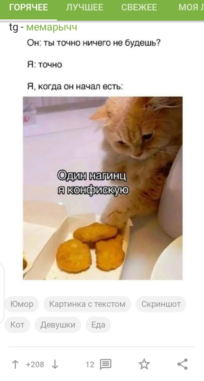 �������� ���