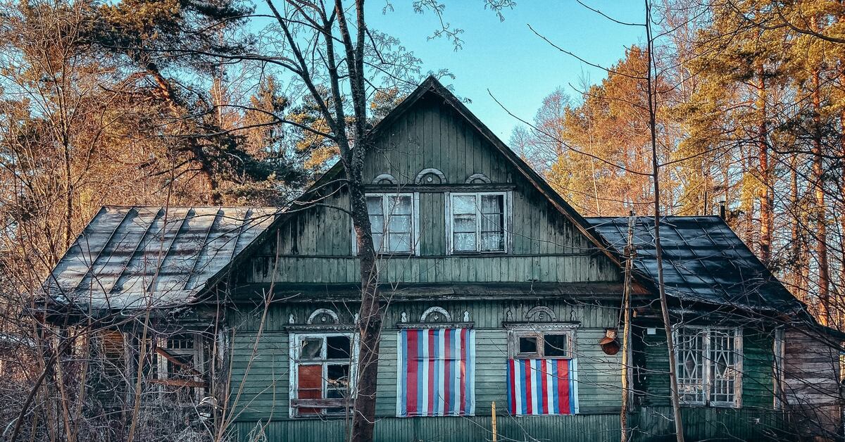 Фото Домов В Лисьем Носу