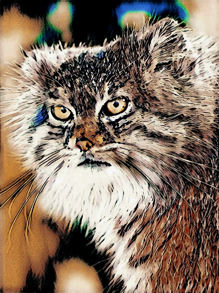 Всем цветных мануло-снов!