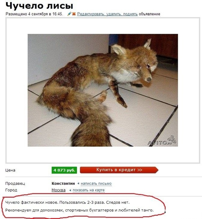 ������� �/�