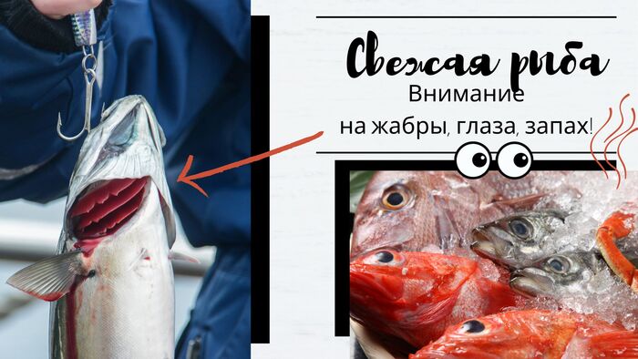 Как определить свежесть рыбы?