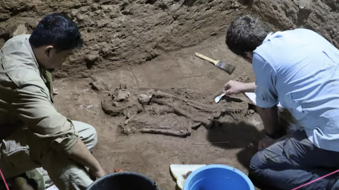 Под Петербургом нашли останки расчленённого неандертальца ИА Панорама, Fake News, Санкт-Петербург, Сатира, Неандерталец