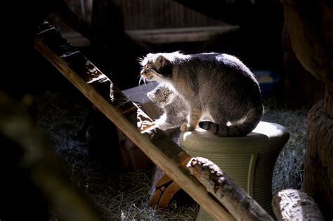 Сейчас мы будем учиться забираться наверх, сынок