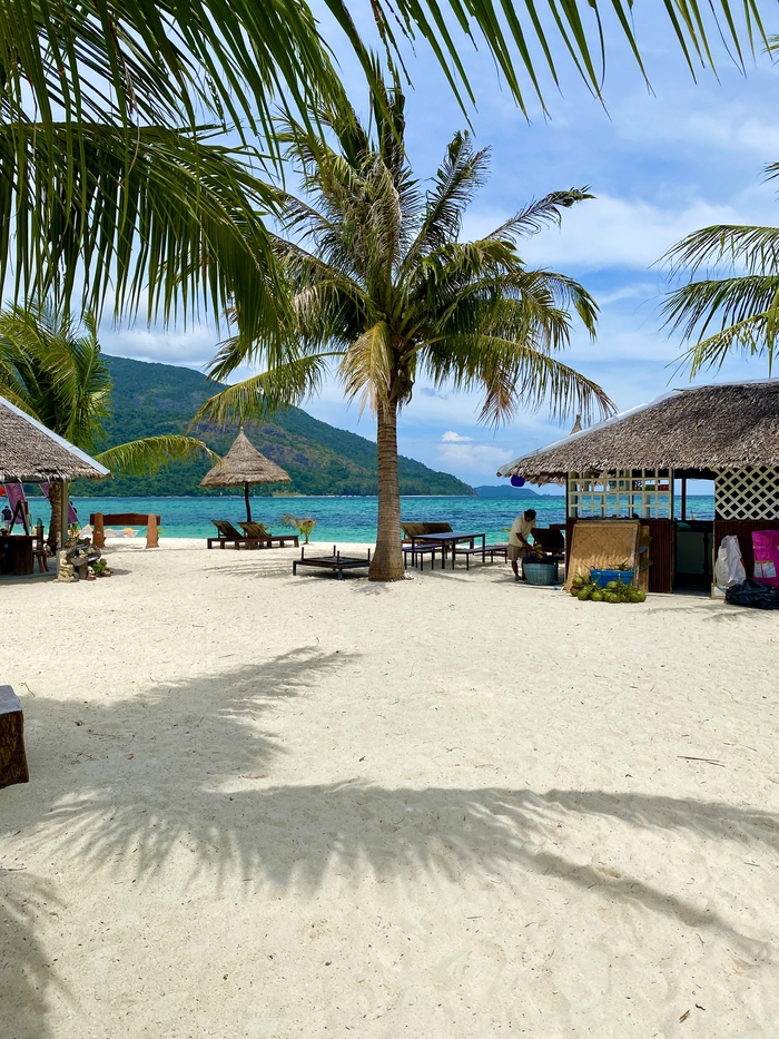 Ответ на пост «Случайный кадр по пути домой, без этих ваших манулов, сисек и прочих квадратов»