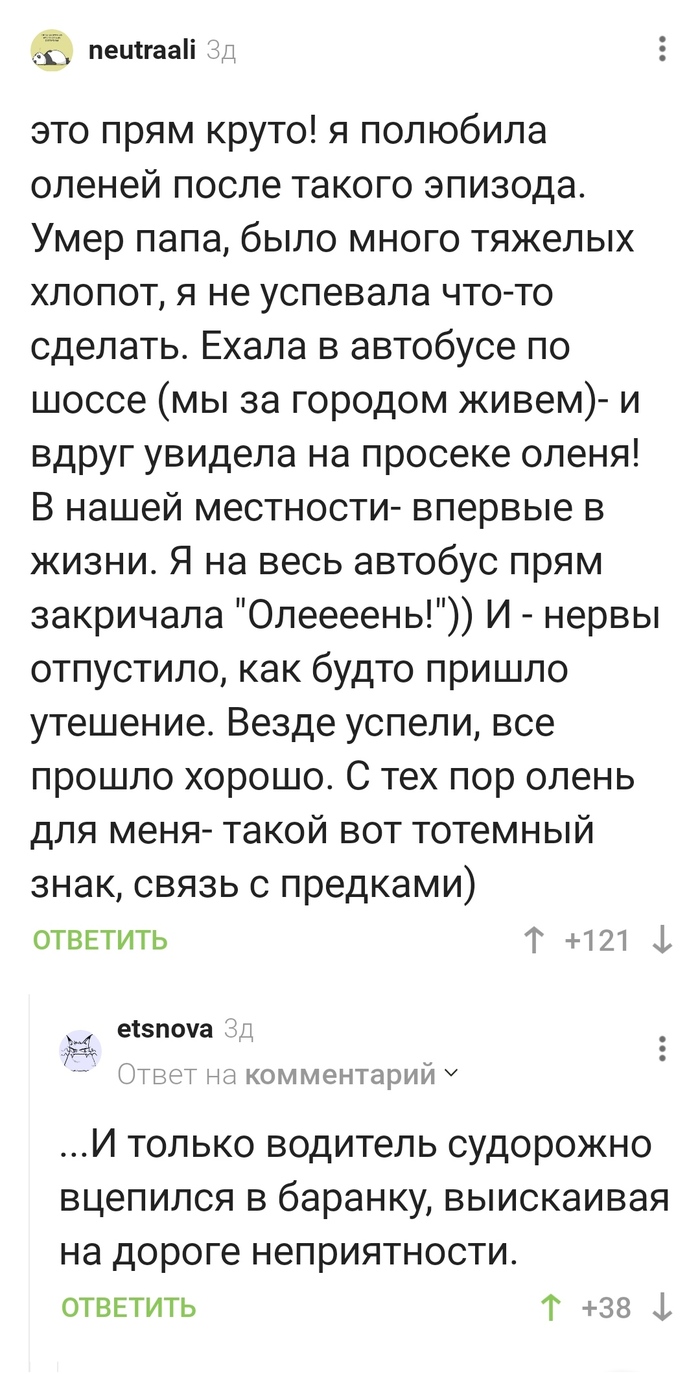 �������� ������)