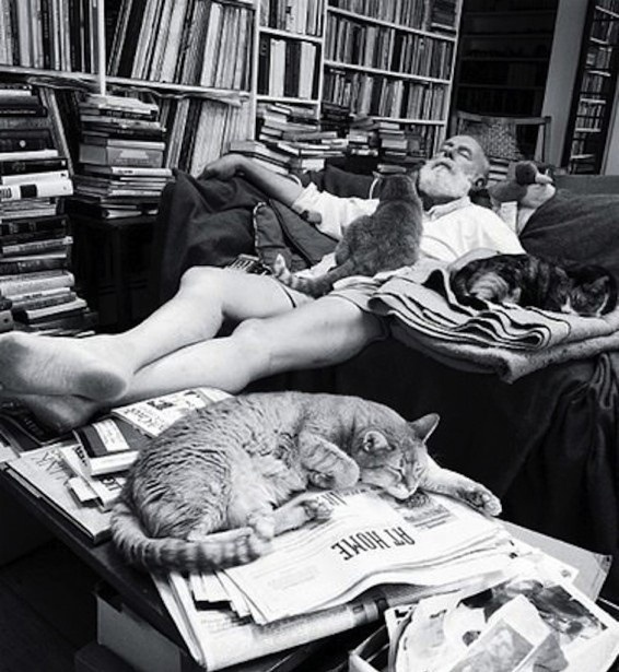 Эрнст Хемингуэй на сеансе у кототерапевта