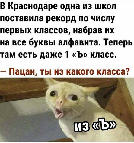 О школе