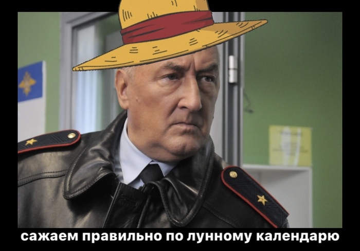 Метаотсталые мемы #15