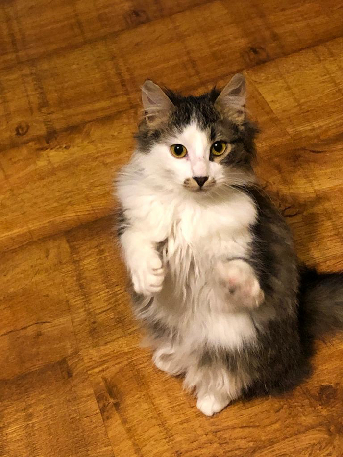 ������� �����, �. ������, �������� 2/�������� 1. ��� ��������