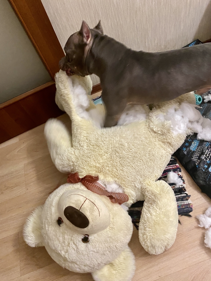 �������, ��� ����� �������