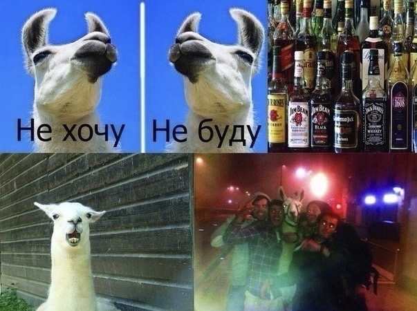 ������� ��� �����