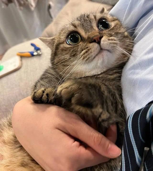 Пообещай мне что больше не будешь включать пылесос