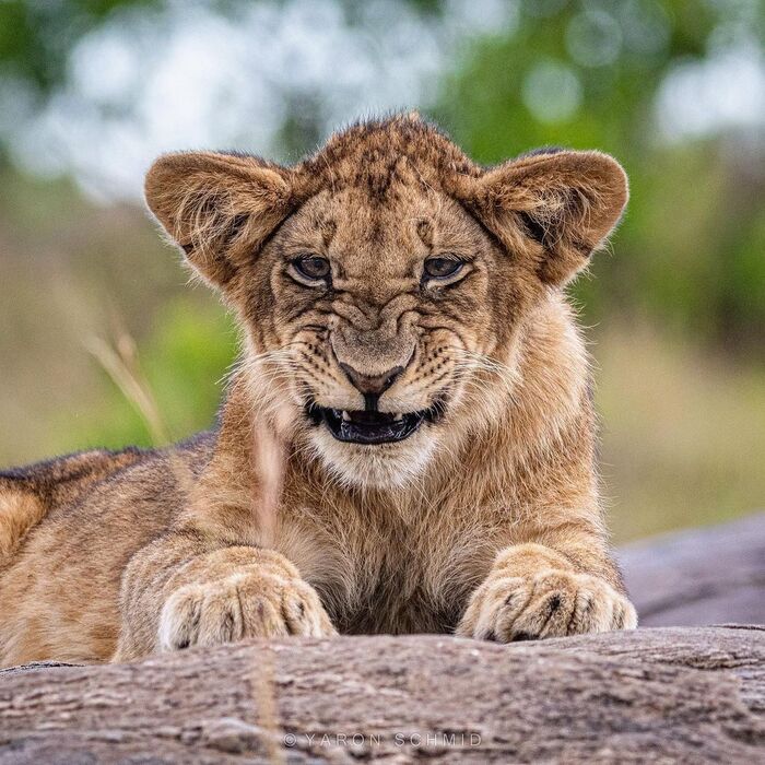 От улыбки станет всем теплей