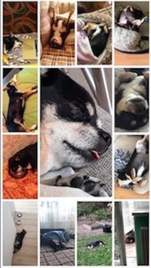 ������ �������, ����� ������ ������