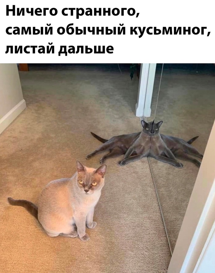    , , 