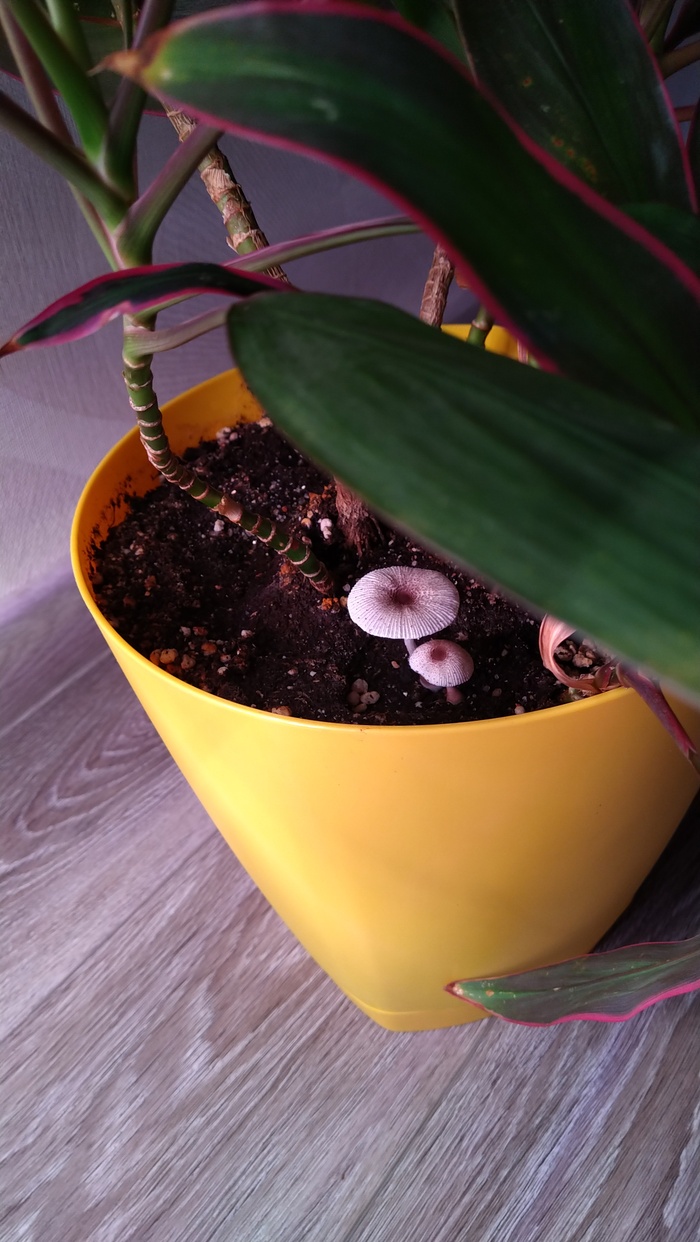 ������ ���� �� ���� ������!)