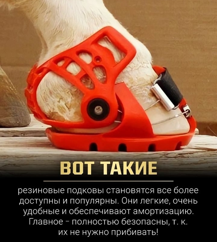 Новые подковы | Пикабу