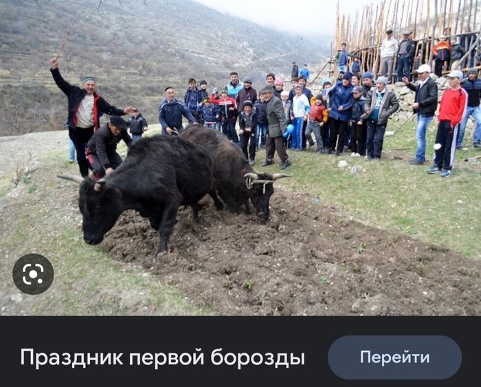 Праздник первой борозды в Дагестане