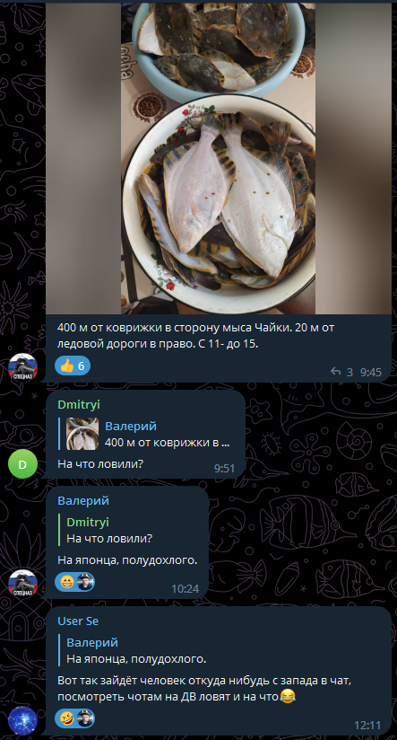 На что ловят камбалу приморские рыбаки?