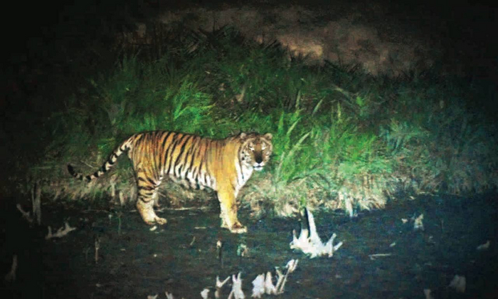 Красота в глазах смотрящих