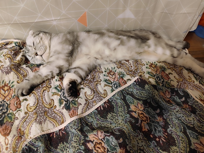 �������������