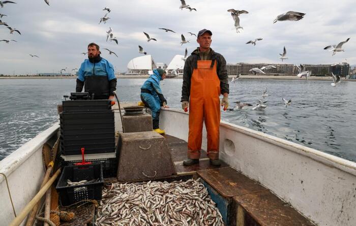 Япония заявила о неприемлемости позиции России по рыбному промыслу у Курил Политика, ТАСС, Россия, Япония, Экономика, Курильские острова, Мария Захарова, Рыболовство