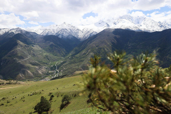 � �������� ������ ����� ��������� IT-�������