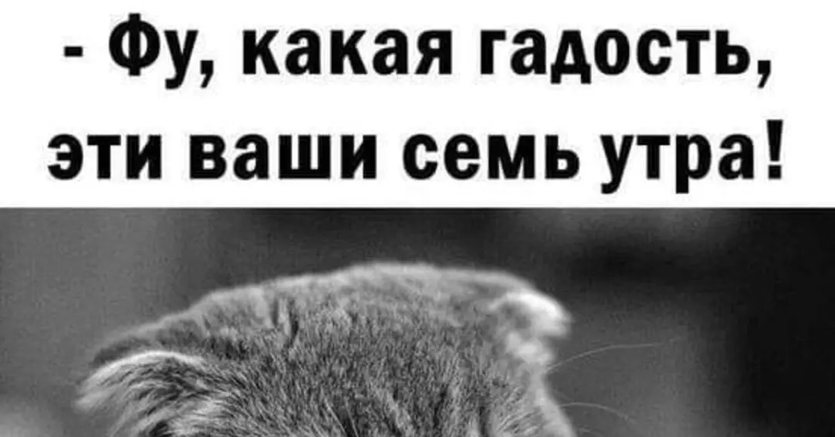 Выйду в семь утра. Какая гадость эти ваши 7 утра. фу какая гадость эти ваши 7 утра. картина с надписью:фу любовь.