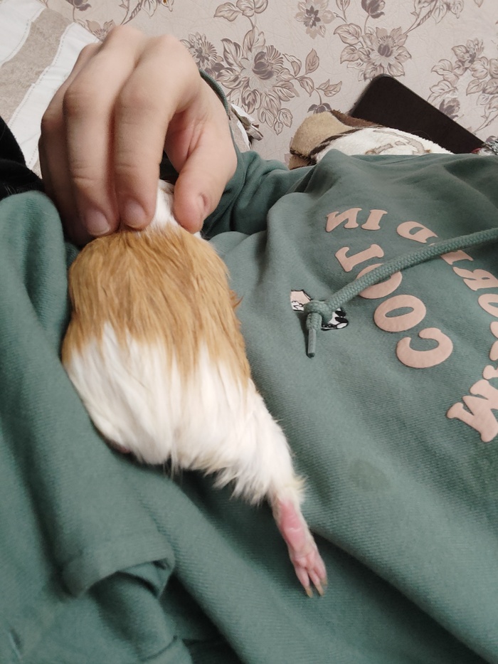 ������� �� ������, ��� ������� � ����� �������