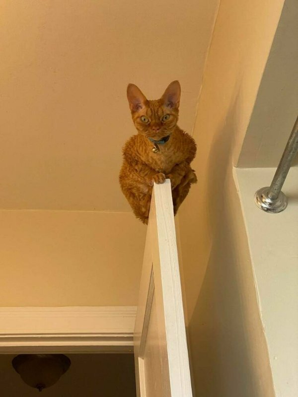 Эти глаза сверху