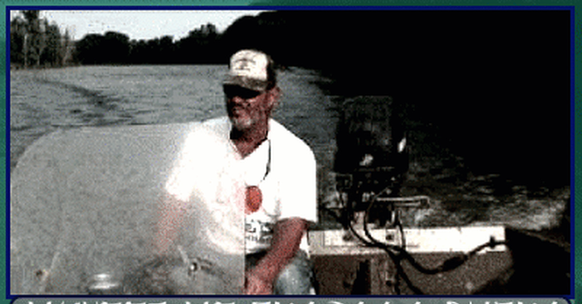 Ничего не сказала рыбка | Пикабу