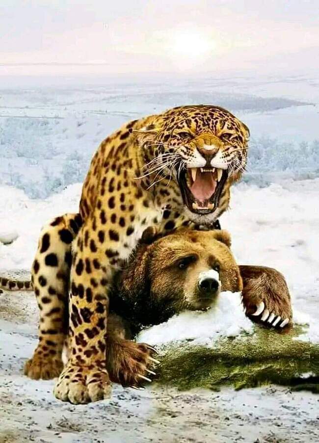 Очевидное-невероятное