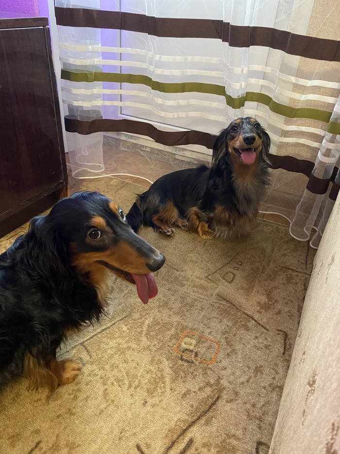 Будущие родители