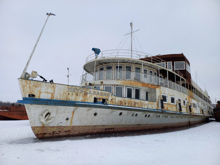   &quot;ϸ &quot; (. 785)       , 31  2023 