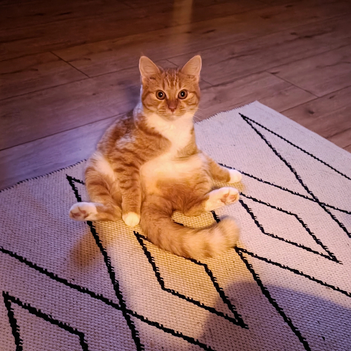  ! , , , , , 