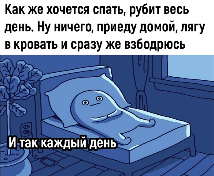 ���� ������� �������� �����