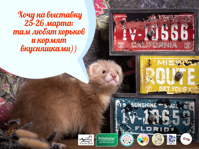 �������� �������. ��������� 25-26 ����� � ������