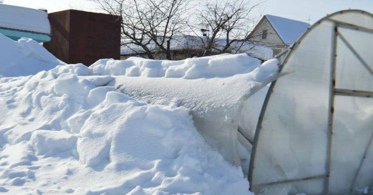 Поликарбонат выдерживает снег. Теплицы из поликарбоната под снегом. Зимний парник. Теплицы из поликарбоната зимой. Теплица сломалась от снега.