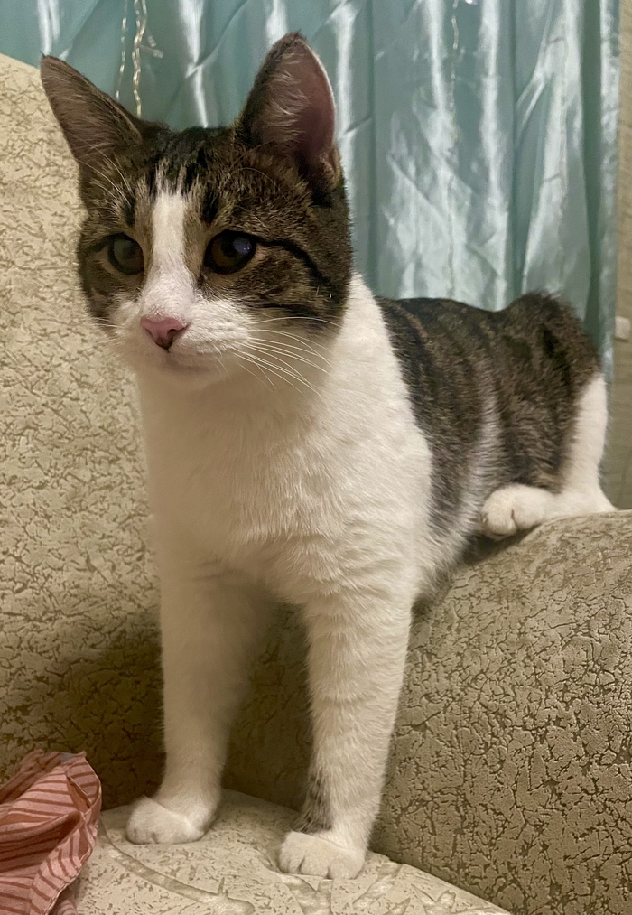 ��� ����� ��� �����?