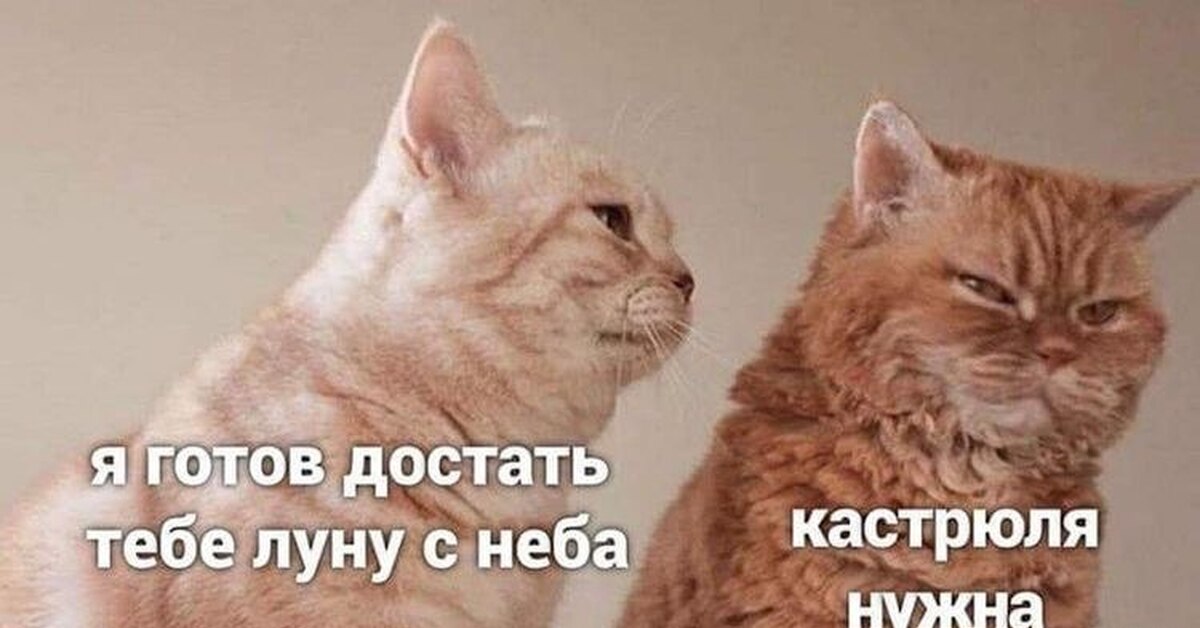 Ревнивый кот картина