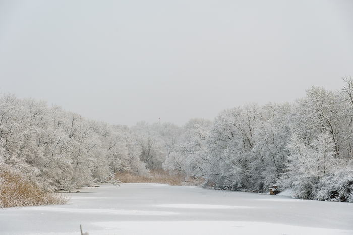Вот теперь зима пришла Фотография, Sony, Новочеркасск, Зима, Длиннопост