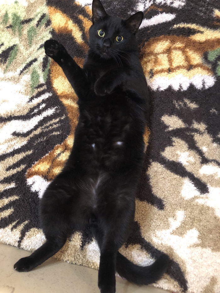 �� ������ ��� ����� � ��� �� �������?