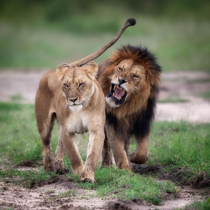 Я с тобой разговариваю!