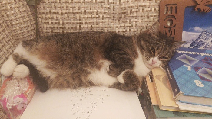 �� ���� �������, � ���� �����