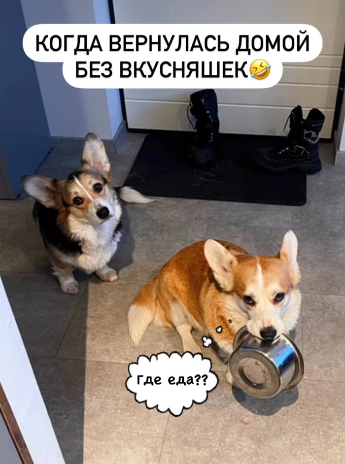 ��� ��������