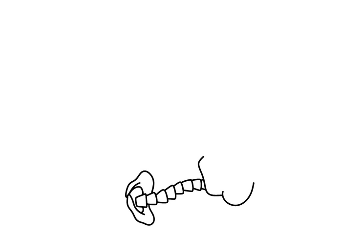  :  , ,  , 