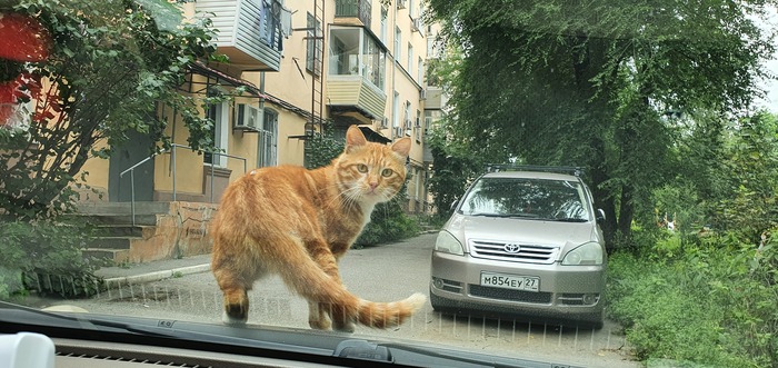 ���� ����?...