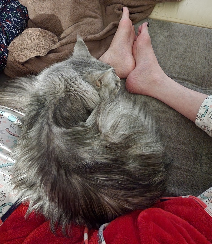 ������ ������������? �������� ����������? ��, �� ������