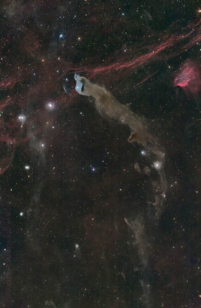 Пылевой комплекс «Волчья пещера» Отражательная туманность VdB 152 на кончике тёмной туманности Барнард 175 в кадре Фрэнсиса Моро