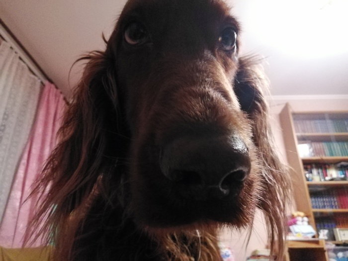 Пошли гулять, я знаю, что ты не спишь